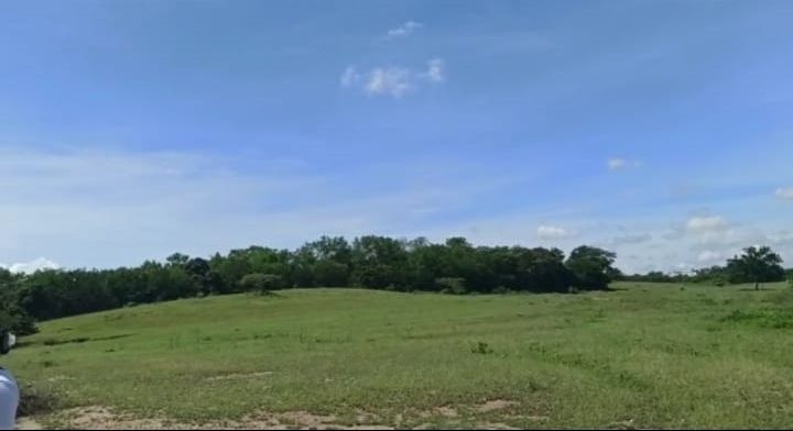 Lote Rural en venta Cundinamarca Girardot Granada 50000 m2 Habitaciones 0 Baños 10 Garajes 1 Precio $4500000000