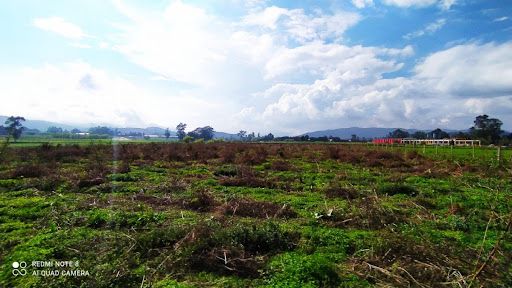 Lote en venta Cundinamarca Madrid Madrid 10160 m2 Habitaciones 0 Baños 10 Garajes 1 Precio $2743200000