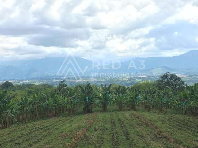 Finca en venta Quindío La Tebaida La Tebaida 220 m2 Habitaciones 2 Baños 2 Garajes 5 Precio $1200000000