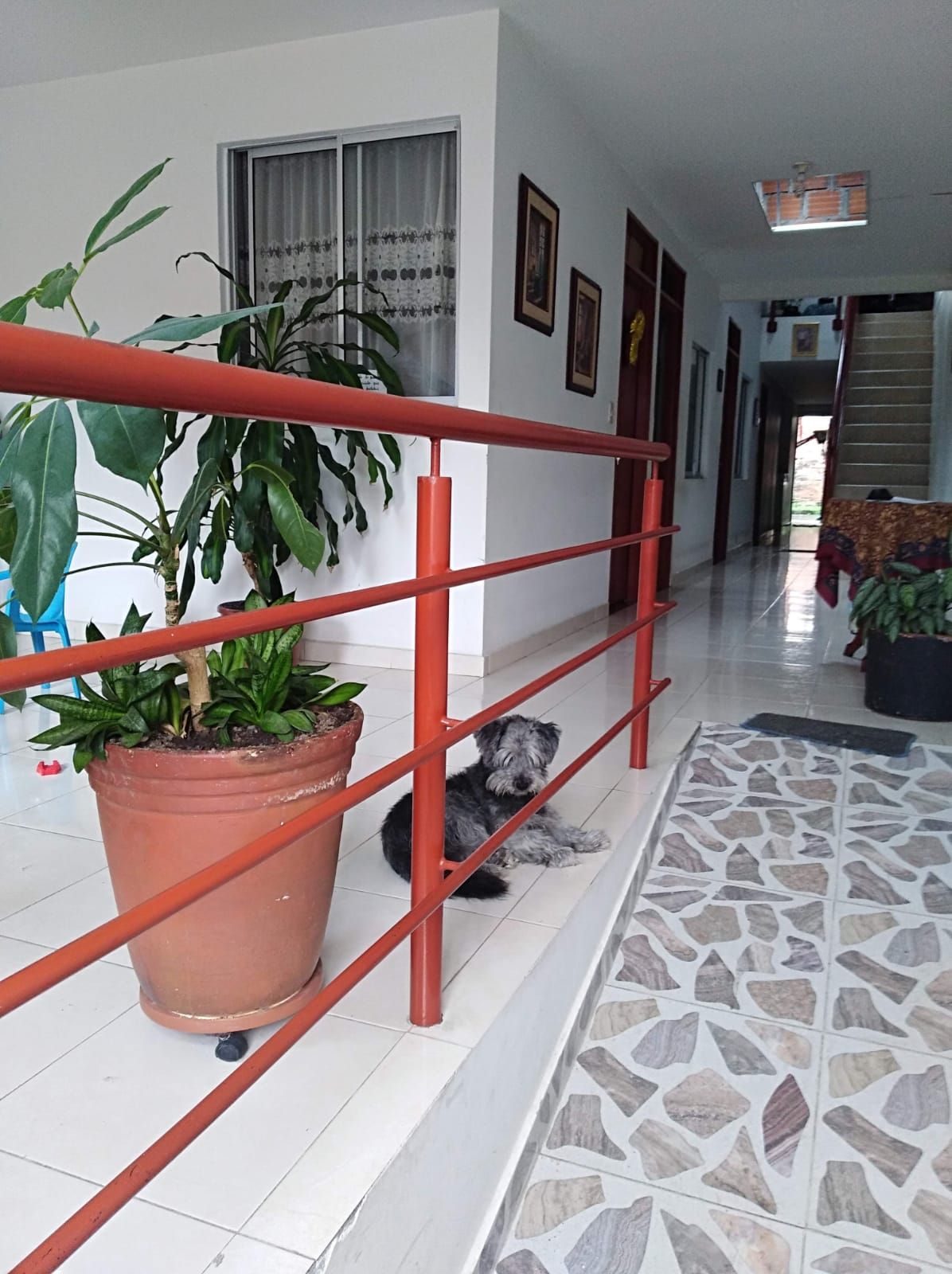 Casa en venta Risaralda Pereira Los Rosales 133 m2 Habitaciones 7 Baños 4 Garajes 1 Precio $520000000