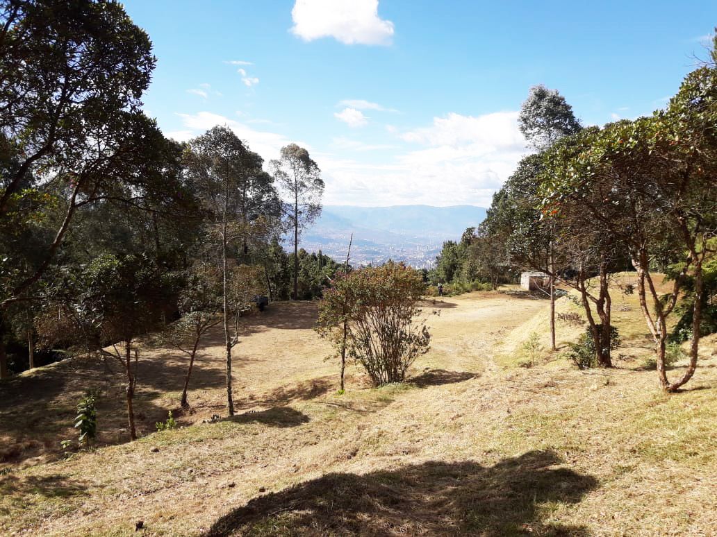Lote en venta Antioquia Envigado Envigado 0 m2 Habitaciones 0 Baños 10 Garajes 1 Precio $1350000000