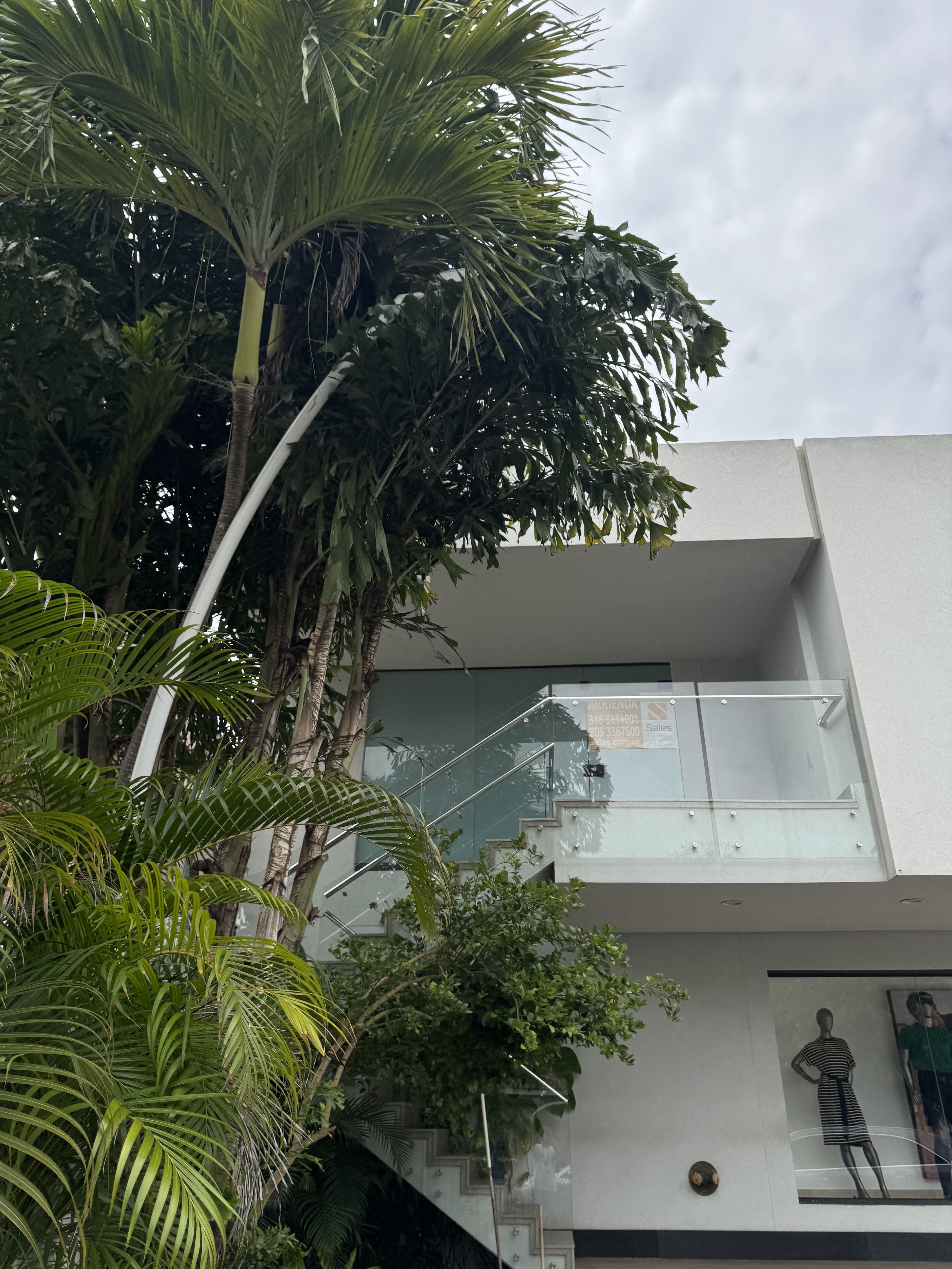 Oficina en arriendo Atlántico Barranquilla Altos Del Prado 125 m2 Habitaciones 0 Baños 1 Garajes 0 Precio $7000000