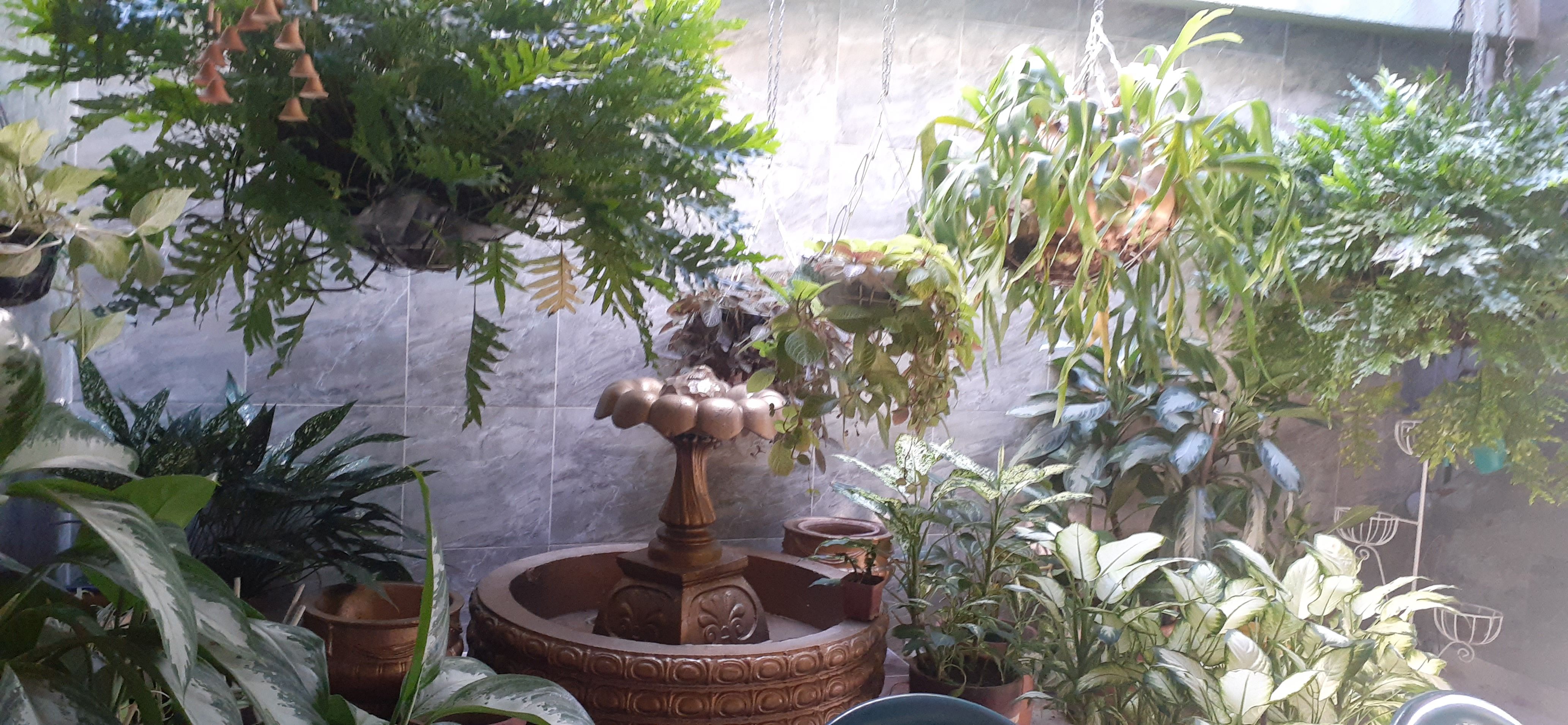 Casa en venta Atlántico Barranquilla La Cumbre 385 m2 Habitaciones 4 Baños 4 Garajes 3 Precio $700000000