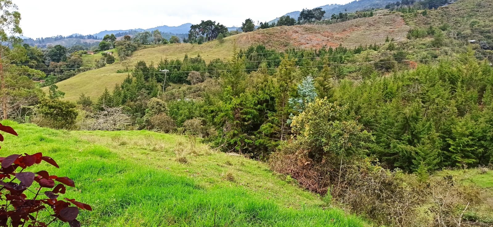 Lote Rural en venta Antioquia Rionegro Otros 0 m2 Habitaciones 0 Baños 10 Garajes 1 Precio $3800000000