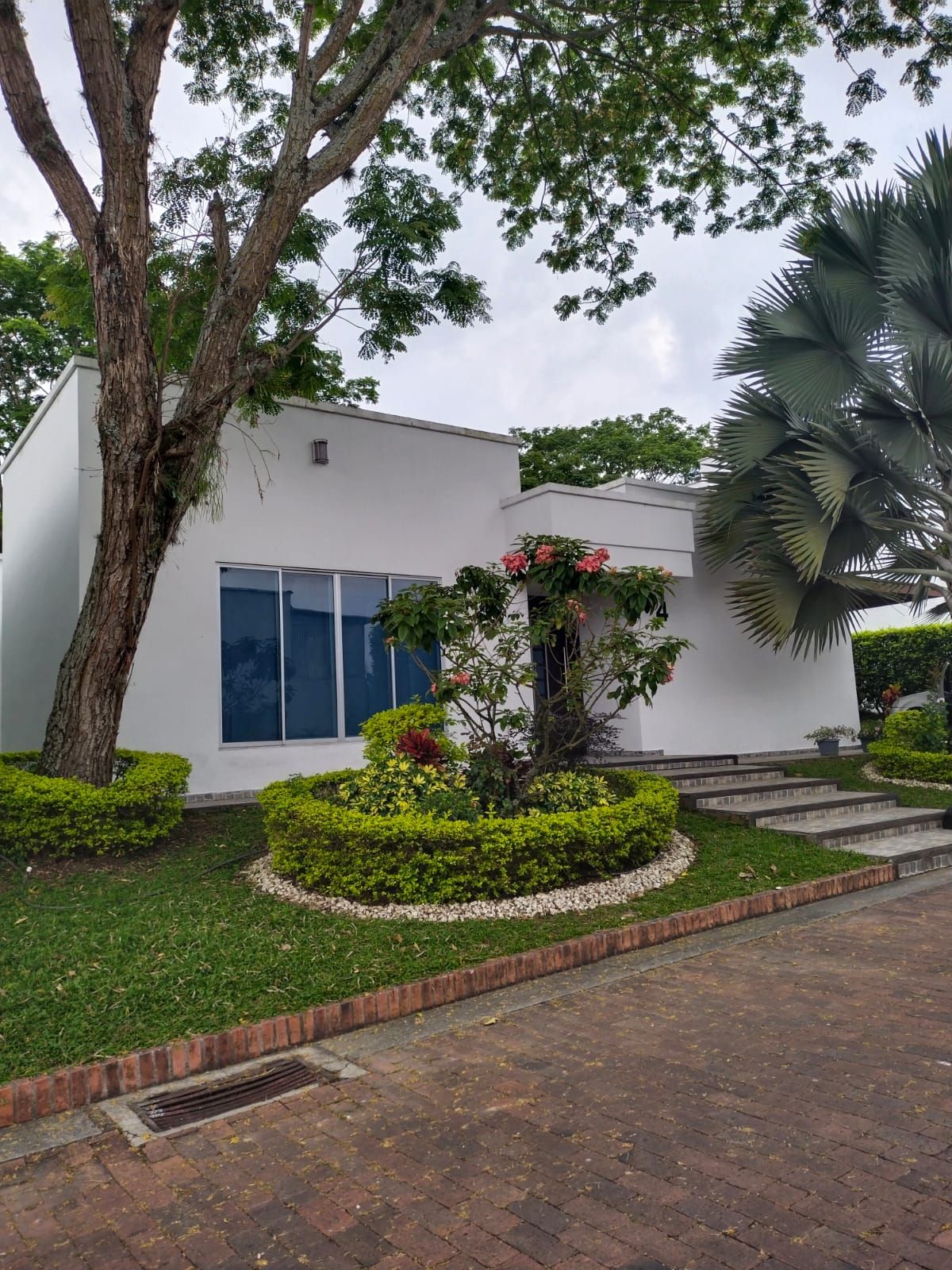 Casa en venta Tolima Ibagué Cd Comfenalco 230 m2 Habitaciones 3 Baños 6 Garajes 3 Precio $1100000000