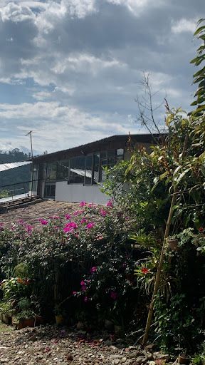 Casa en venta Risaralda Pereira Pereira 500 m2 Habitaciones 7 Baños 8 Garajes 12 Precio $750000000