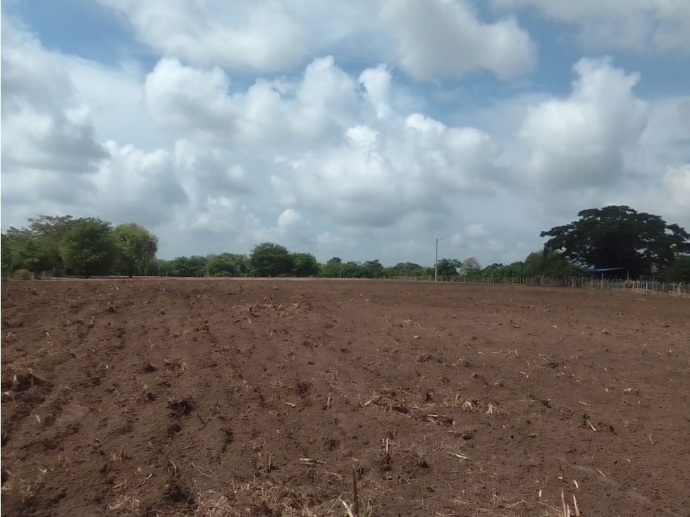 Finca en venta Atlántico Polonuevo Polonuevo 20000 m2 Habitaciones 0 Baños 10 Garajes 1 Precio $190000000