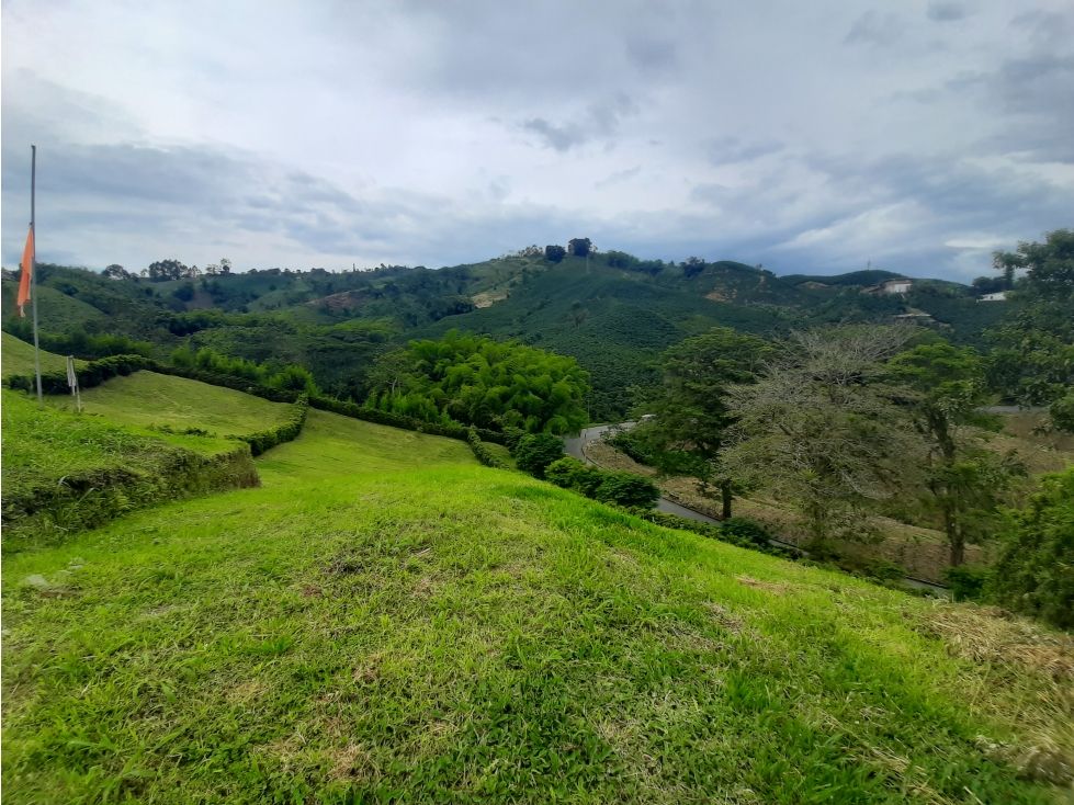 Lote en venta Caldas Chinchiná Chinchiná 1815 m2 Habitaciones 0 Baños 0 Garajes 0 Precio $598950000