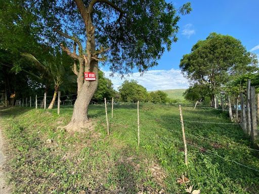 Lote en venta Cundinamarca Ricaurte Ricaurte 14848 m2 Habitaciones 0 Baños 10 Garajes 1 Precio $1100000000