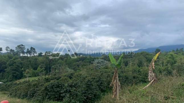 Lote en venta Risaralda Pereira Pereira 1 m2 Habitaciones 0 Baños 10 Garajes 1 Precio $110000000