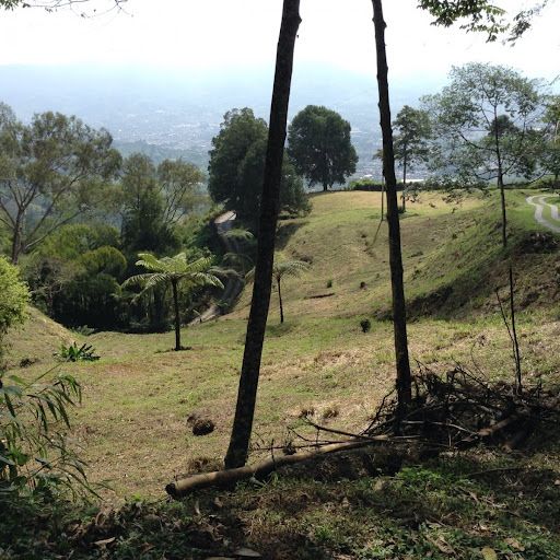 Lote en venta Risaralda Dosquebradas Ub San Nicolas 10185 m2 Habitaciones 0 Baños 10 Garajes 4 Precio $1100000000