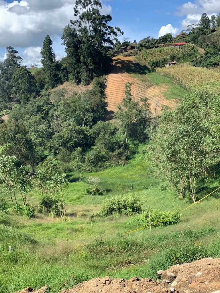 Lote Rural en venta Antioquia Marinilla Marinilla 0 m2 Habitaciones 0 Baños 10 Garajes 1 Precio $350000000