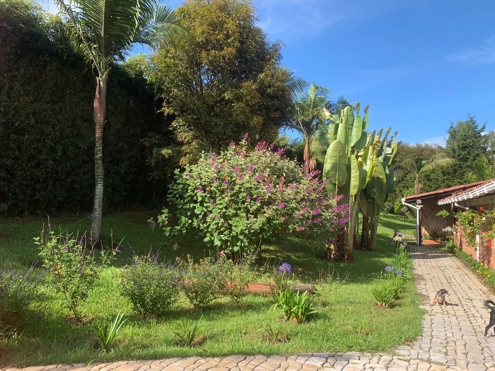 Casa Campestre en venta Antioquia El Retiro El Retiro 270 m2 Habitaciones 4 Baños 6 Garajes 7 Precio $1400000000