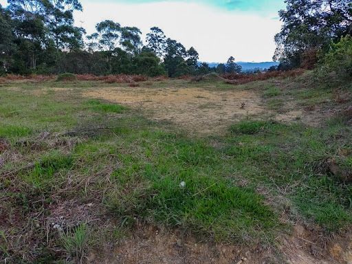 Lote en venta Antioquia Rionegro Rionegro 10965 m2 Habitaciones 0 Baños 0 Garajes 0 Precio $1096500000