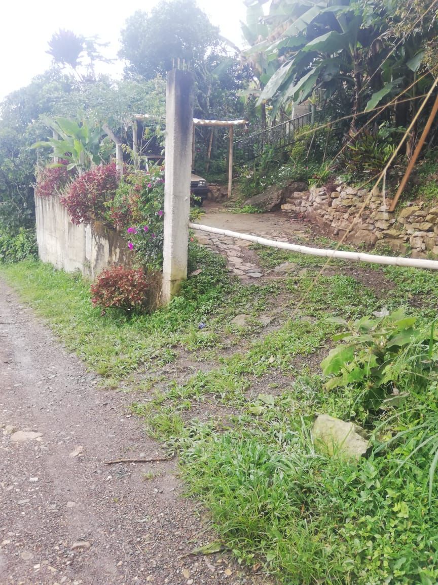 Finca en venta Cundinamarca El Colegio El Colegio 800 m2 Habitaciones 3 Baños 0 Garajes 2 Precio $180000000