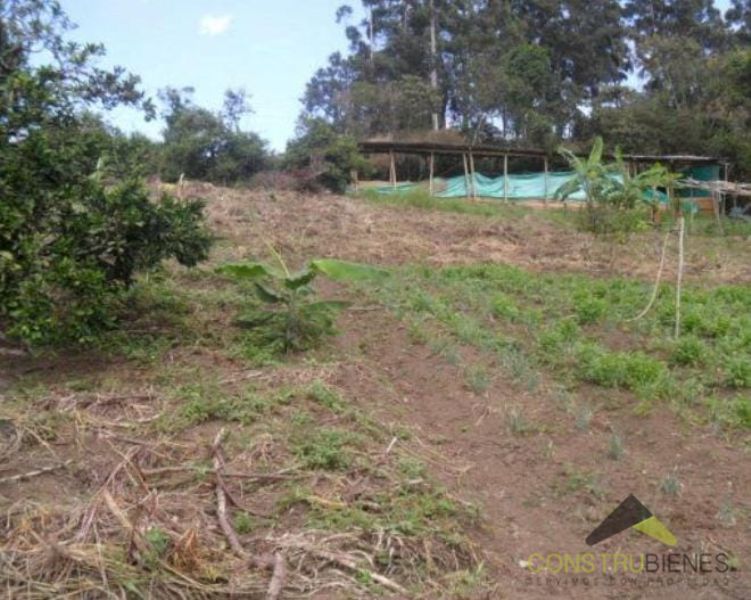 Lote en venta Antioquia Sabaneta Sabaneta 766 m2 Habitaciones 0 Baños 0 Garajes 0 Precio $919560000