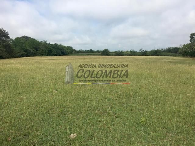 Lote en venta Tolima Ibagué Br Jordan Viii Etapa 0 m2 Habitaciones 0 Baños 10 Garajes 1 Precio $8614000000