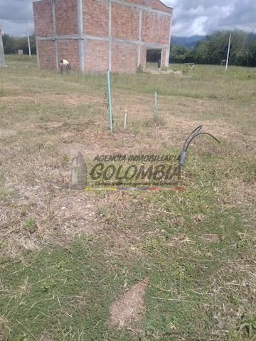 Lote en venta Tolima Alvarado Alvarado 0 m2 Habitaciones 0 Baños 10 Garajes 1 Precio $65000000