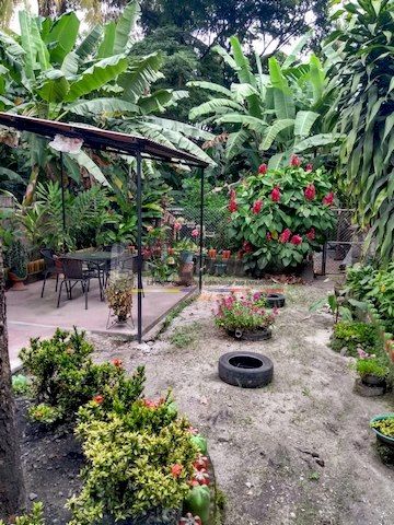 Casa Campestre en venta Tolima San Luis San Luis 399 m2 Habitaciones 3 Baños 4 Garajes 2 Precio $320000000