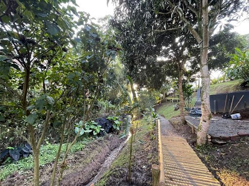 Casa en venta Risaralda Pereira Pereira 520 m2 Habitaciones 7 Baños 6 Garajes 9 Precio $1700000000