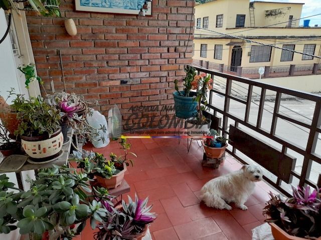 Casa en venta Tolima Ibagué San Diego 240 m2 Habitaciones 6 Baños 2 Garajes 1 Precio $430000000