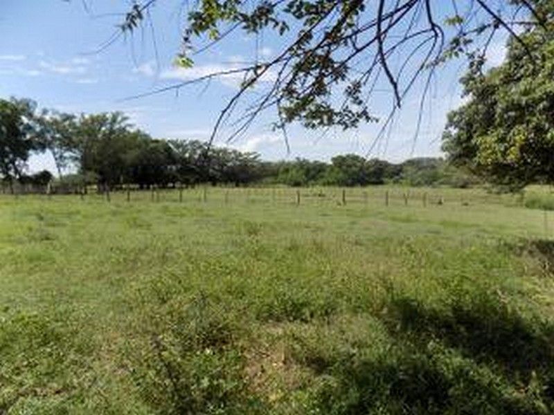 Lote Urbano en venta Tolima Purificación Purificación 11700 m2 Habitaciones 0 Baños 10 Garajes 1 Precio $1194570000