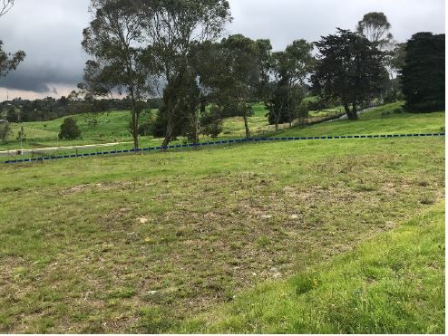 Lote en venta Antioquia Medellín Alejandria 2395 m2 Habitaciones 0 Baños 0 Garajes 0 Precio $940000000