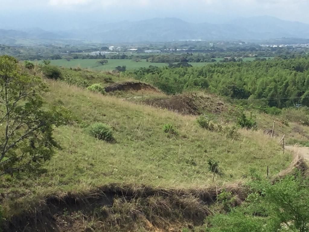 Lote Rural en venta Valle Del Cauca Tuluá Centro 0 m2 Habitaciones 0 Baños 10 Garajes 1 Precio $400000000