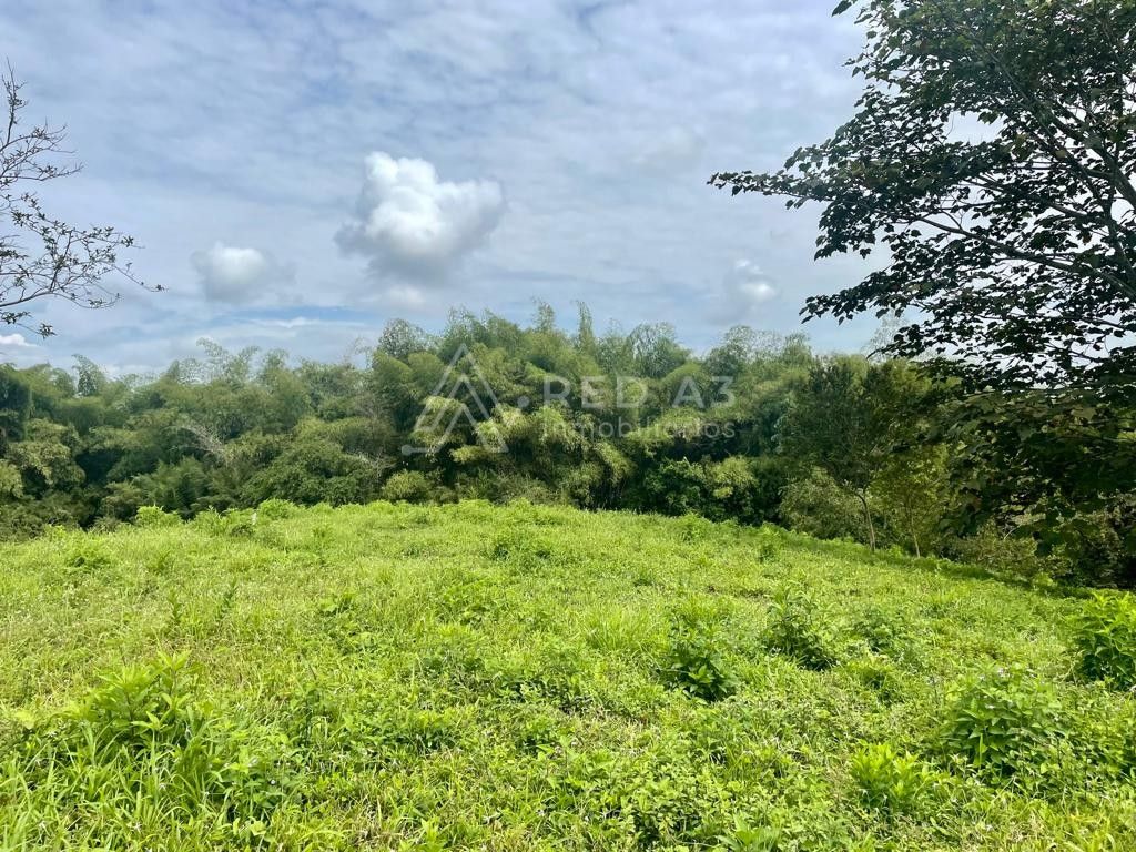 Lote en venta Risaralda Pereira Pereira 0 m2 Habitaciones 0 Baños 10 Garajes 5 Precio $1186560000