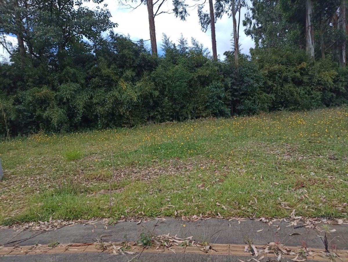 Lote en venta Antioquia El Carmen De Viboral La Alhambra 84 m2 Habitaciones 0 Baños 0 Garajes 0 Precio $250000000