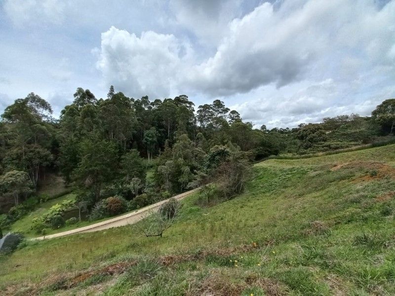 Lote en venta Antioquia Rionegro El Porvenir 2036 m2 Habitaciones 0 Baños 10 Garajes 1 Precio $750000000