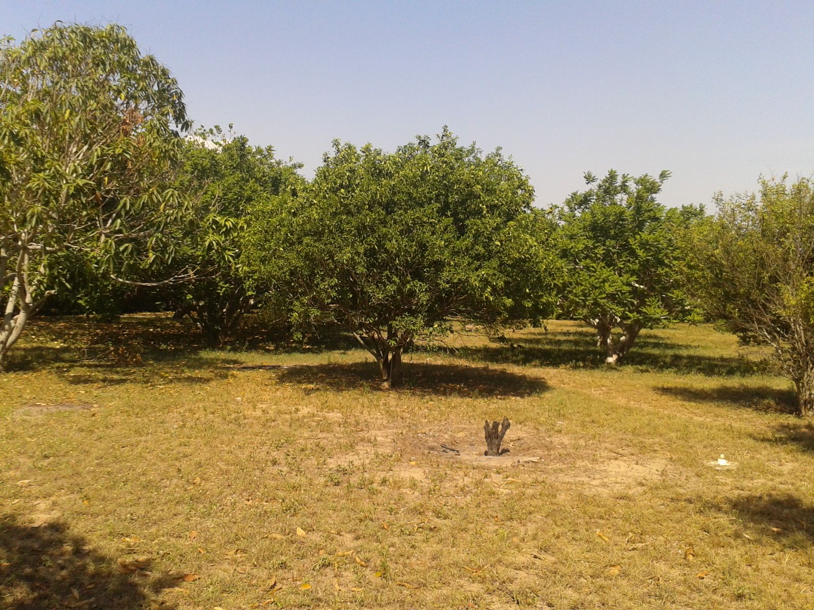 Lote en venta Atlántico Galapa Galapa 0 m2 Habitaciones 0 Baños 10 Garajes 1 Precio $300000000