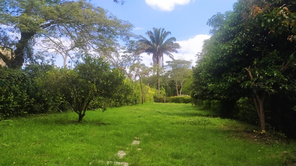 Lote Rural en venta Tolima Ibagué Vereda El Totumo 0 m2 Habitaciones 0 Baños 10 Garajes 1 Precio $1150000000