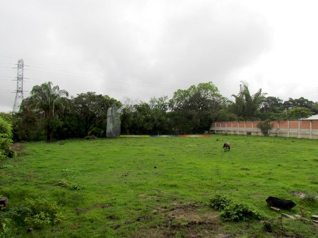 Lote en venta Tolima Ibagué Centro 0 m2 Habitaciones 0 Baños 10 Garajes 1 Precio $1500000000