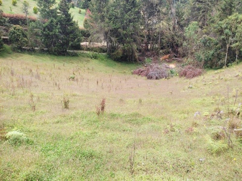 Lote en venta Antioquia El Retiro El Retiro 18500 m2 Habitaciones 0 Baños 10 Garajes 1 Precio $2405000000