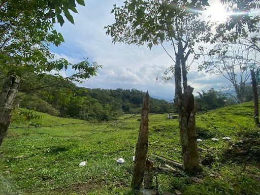 Lote en venta Tolima Ibagué La Trinidad 30063 m2 Habitaciones 0 Baños 0 Garajes 0 Precio $3500000000