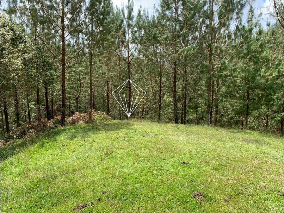 Lote en venta Antioquia El Carmen De Viboral Campo Alegre 5000 m2 Habitaciones 0 Baños 0 Garajes 0 Precio $155000000