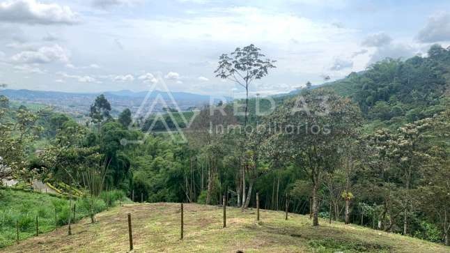 Lote en venta Risaralda Dosquebradas Campestre A 3 m2 Habitaciones 0 Baños 10 Garajes 1 Precio $260000000