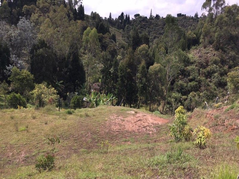 Lote en venta Antioquia Rionegro El Porvenir 3561 m2 Habitaciones 0 Baños 10 Garajes 1 Precio $590000000