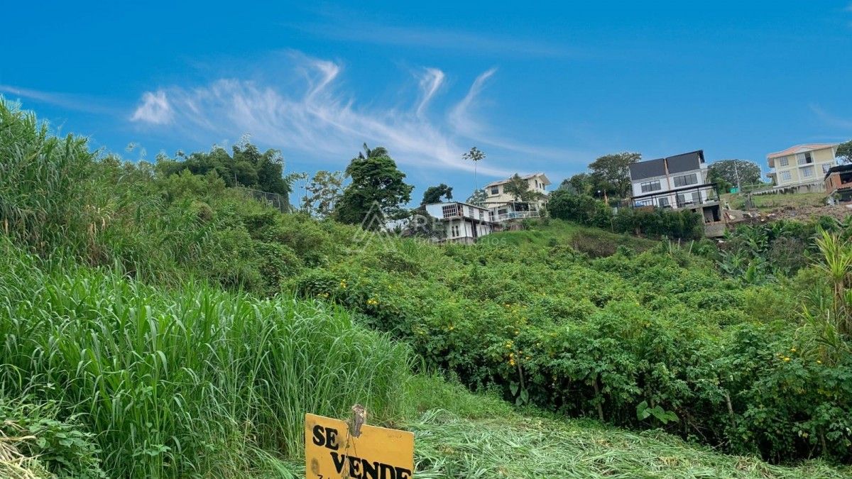 Lote en venta Risaralda Dosquebradas La Pradera 324 m2 Habitaciones 0 Baños 10 Garajes 1 Precio $165000000