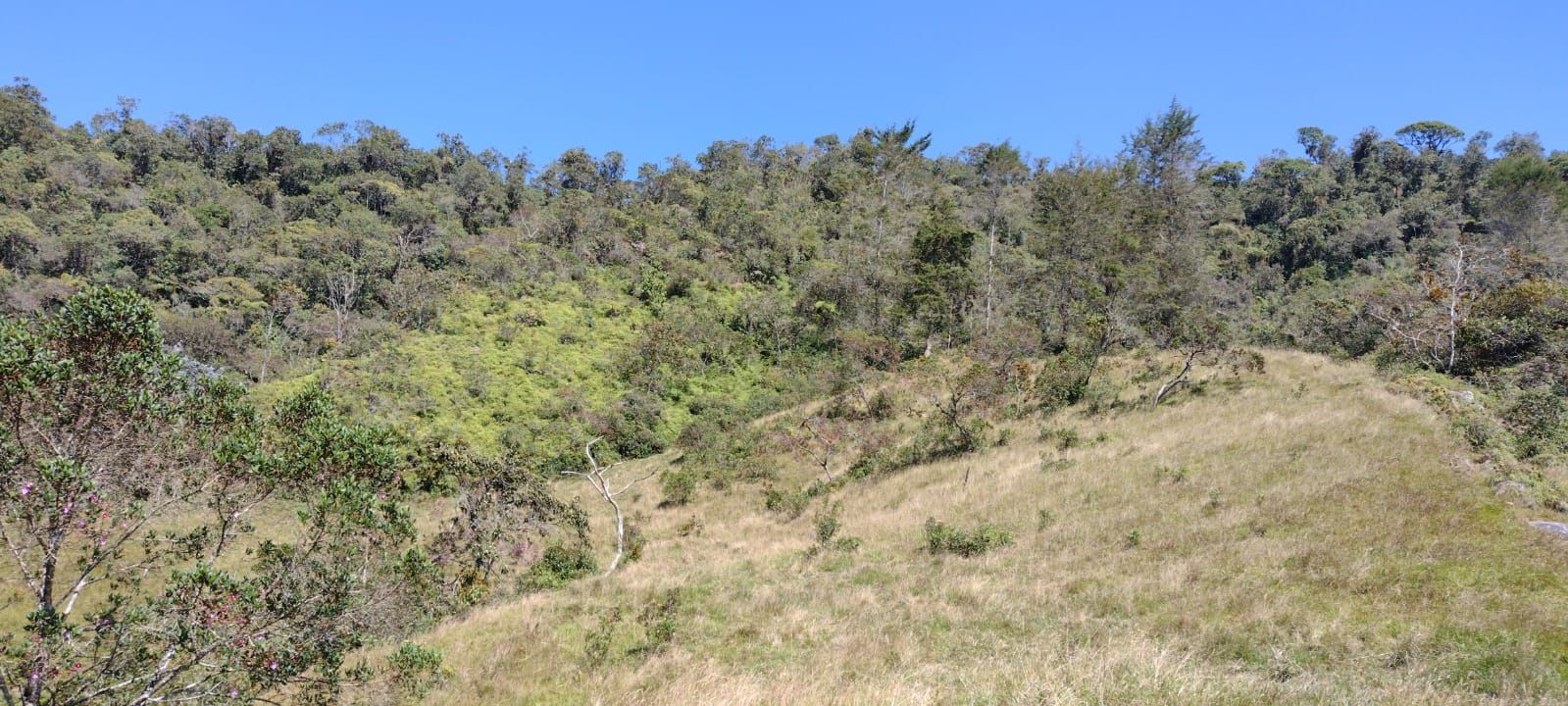 Lote Rural en venta Antioquia El Santuario Jose Maria Cordova 0 m2 Habitaciones 0 Baños 10 Garajes 1 Precio $350000000