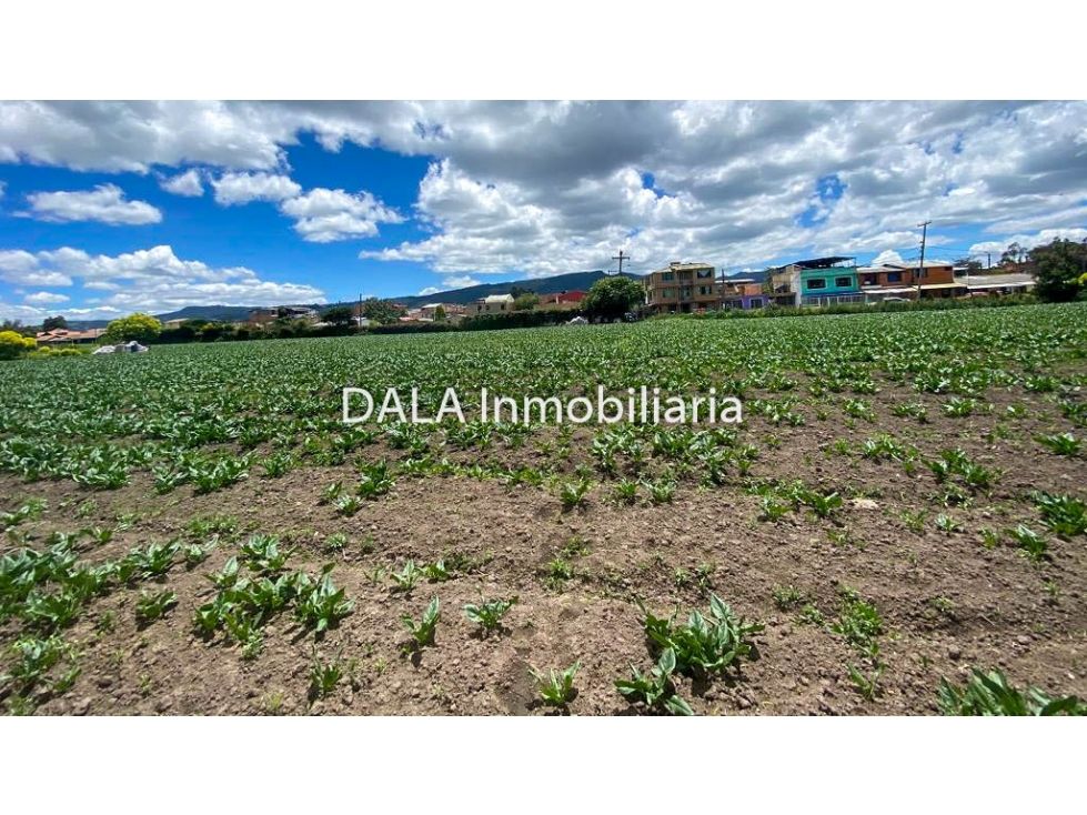 Lote en venta Cundinamarca Chía Br Los Cedros 9201 m2 Habitaciones 0 Baños 0 Garajes 0 Precio $5199900000