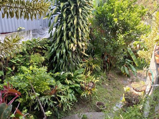 Casa en venta Risaralda Pereira Popular Modelo 175 m2 Habitaciones 5 Baños 2 Garajes 2 Precio $800000000