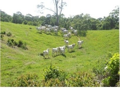 Finca en venta Antioquia Caldas Otros 300 m2 Habitaciones 4 Baños 6 Garajes 8 Precio $3612000000