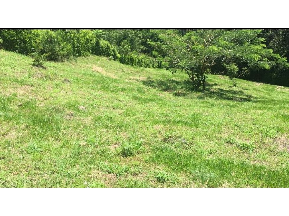 Lote en venta Caldas Viterbo Viterbo 2465 m2 Habitaciones 0 Baños 0 Garajes 0 Precio $250000000