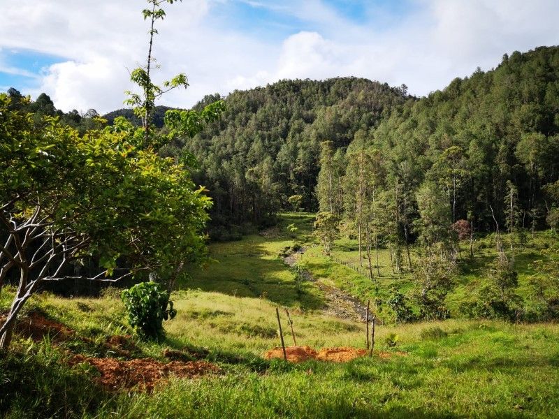 Casa en venta Antioquia Guatape Guatape 80 m2 Habitaciones 2 Baños 2 Garajes 1 Precio $330000000