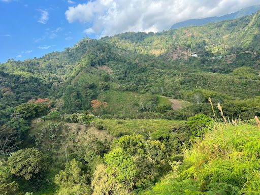 Finca en venta Tolima Ibagué Centro 127 m2 Habitaciones 2 Baños 2 Garajes 2 Precio $1148400000