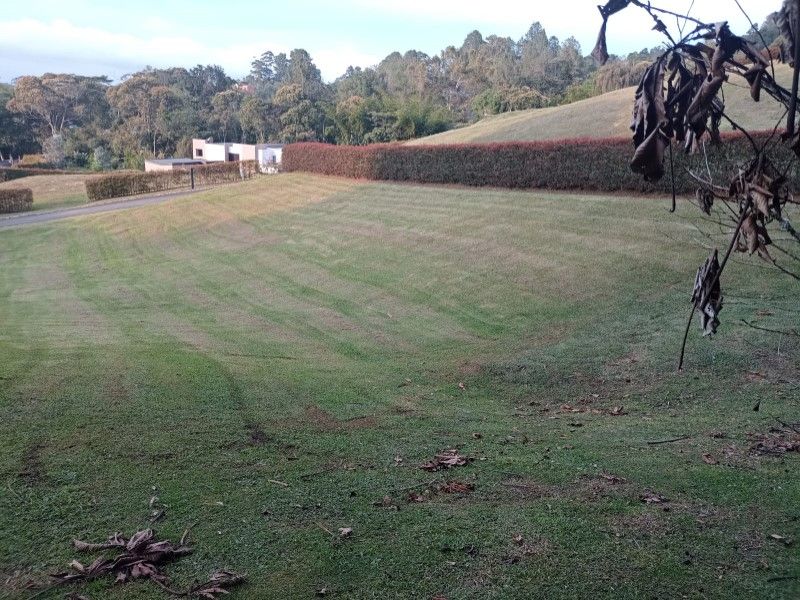 Lote en venta Antioquia La Ceja Centro 2500 m2 Habitaciones 0 Baños 10 Garajes 1 Precio $750000000