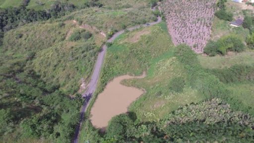 Lote en venta Risaralda Pereira Vasconia 10300 m2 Habitaciones 0 Baños 10 Garajes 1 Precio $680000000