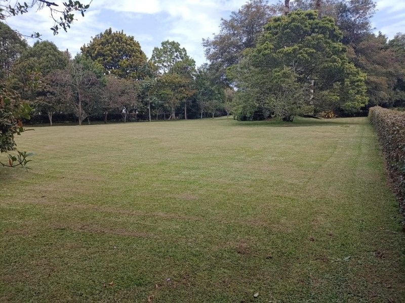 Lote en venta Antioquia Rionegro San Antonio 3000 m2 Habitaciones 0 Baños 10 Garajes 1 Precio $1250000000